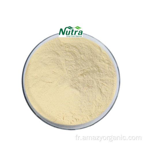 Poudre naturelle antioxydante d&#39;extrait de pollen de pin pur 20:1